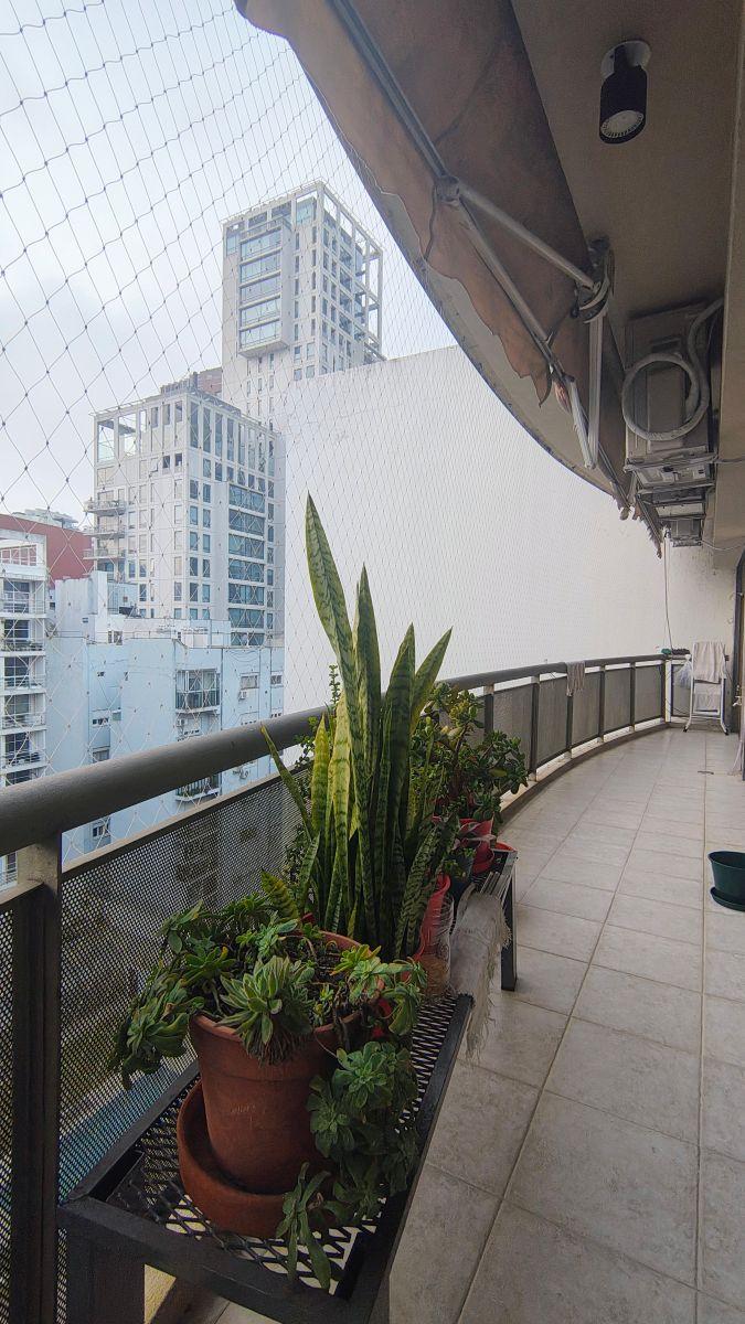Galería