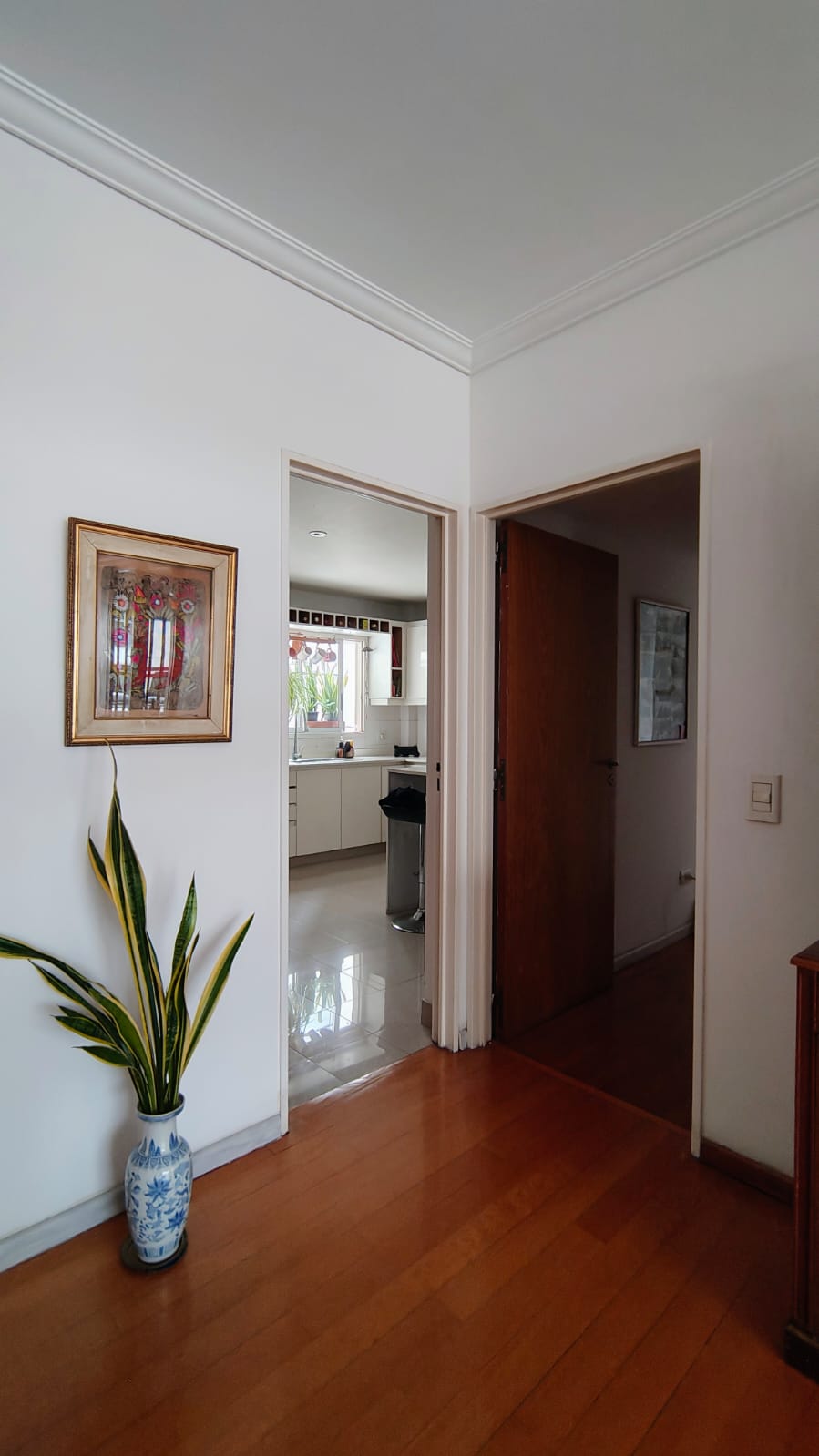 Galería