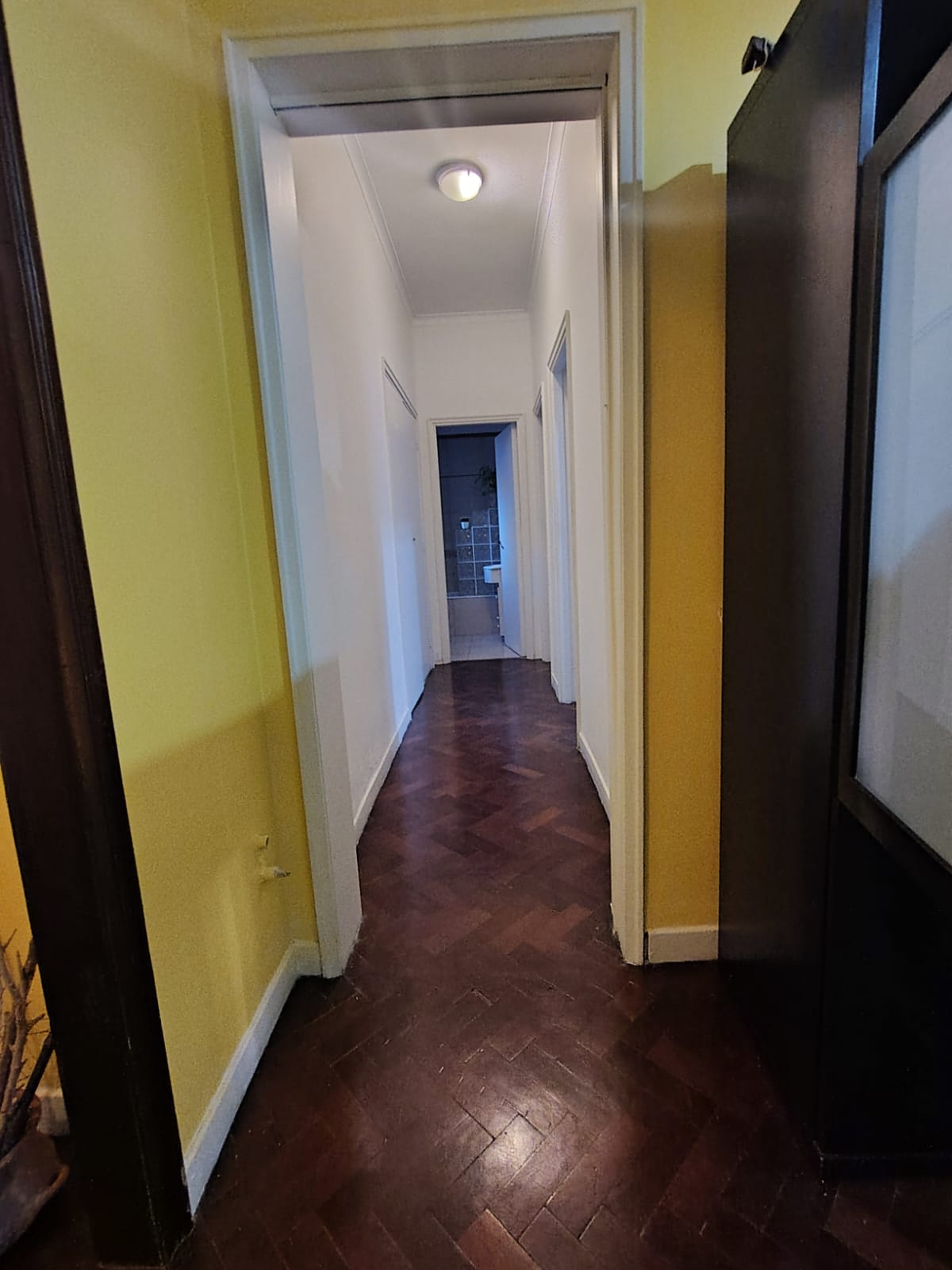 Galería