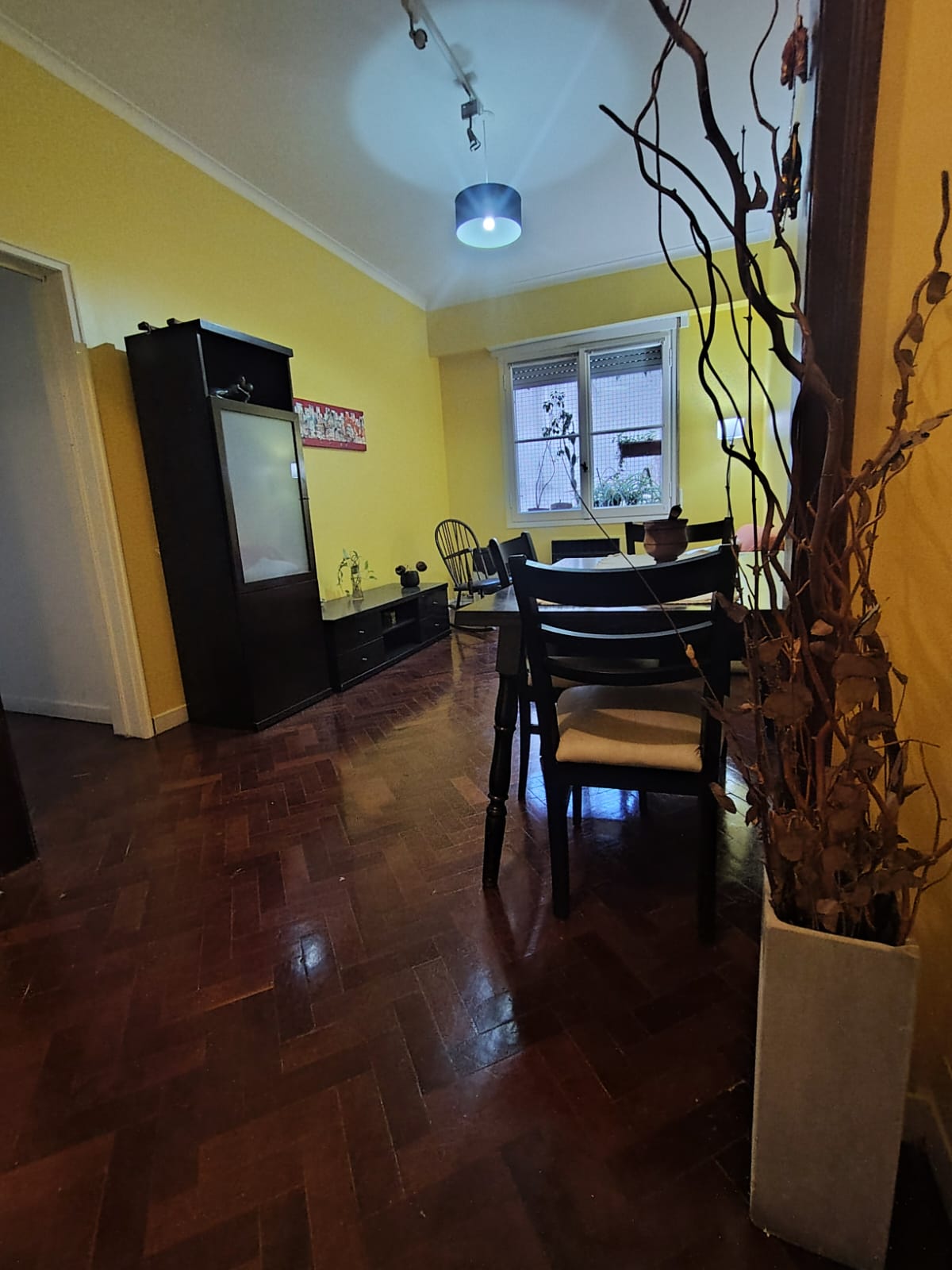 Galería