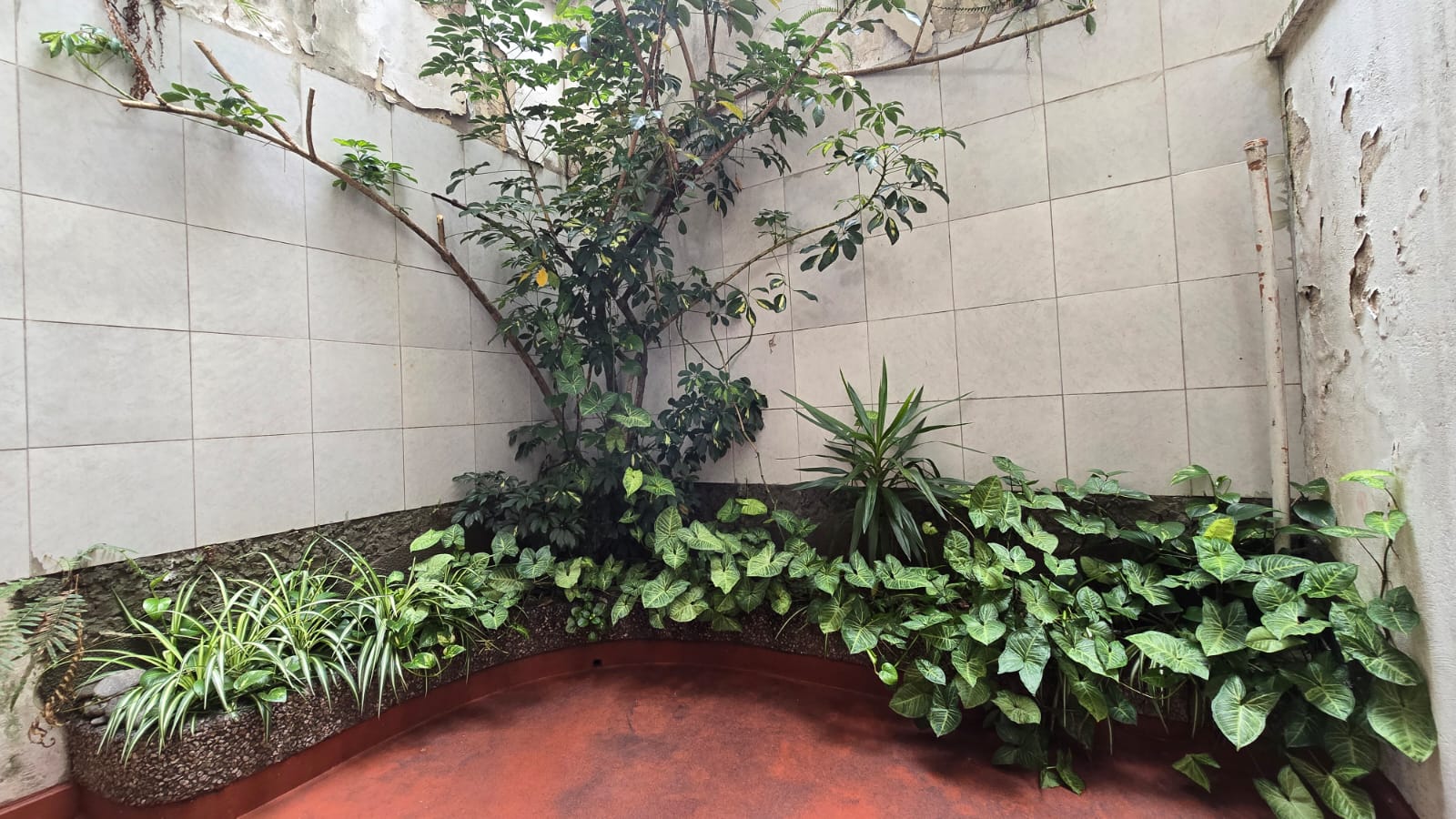 Galería