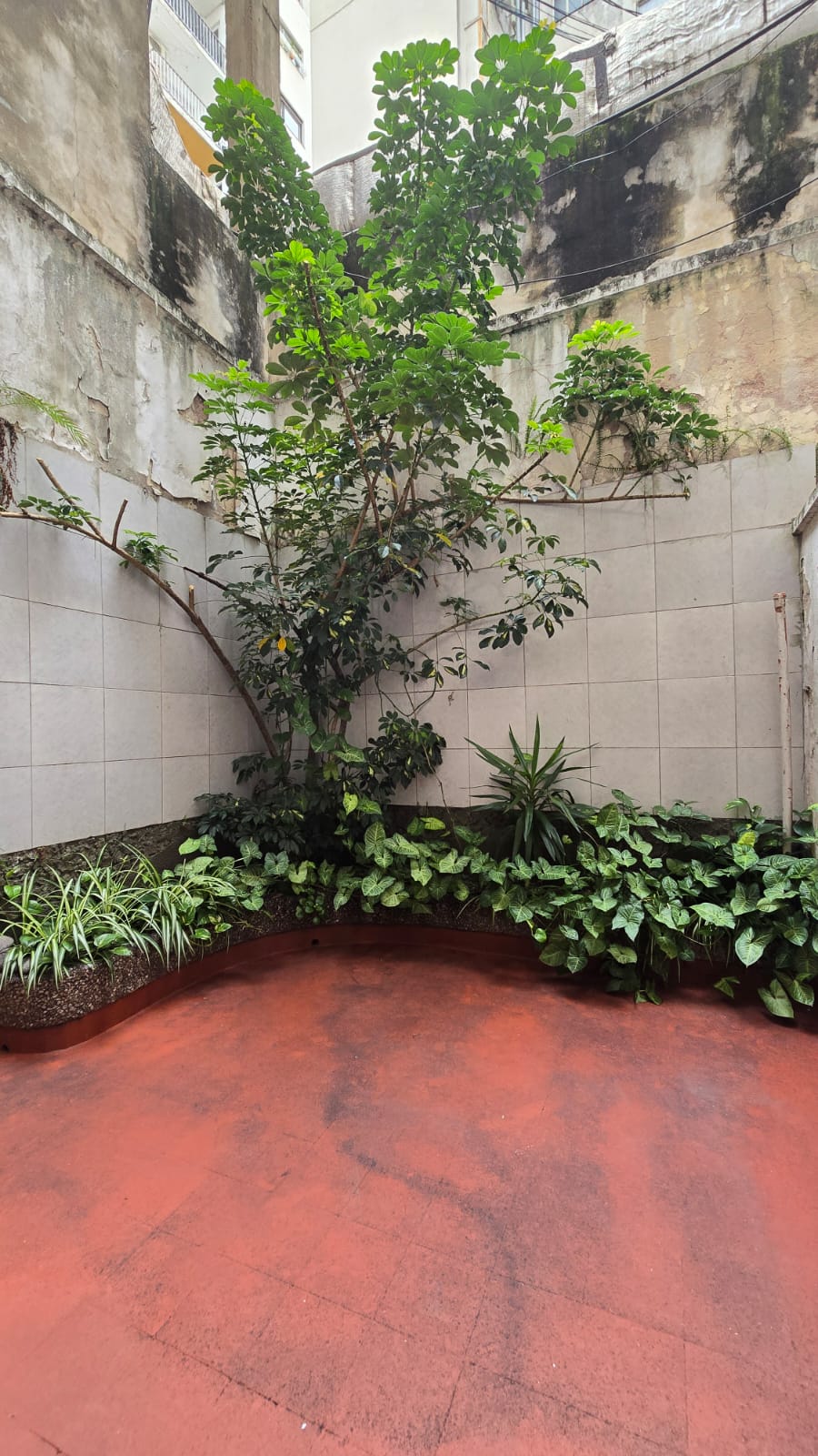 Galería