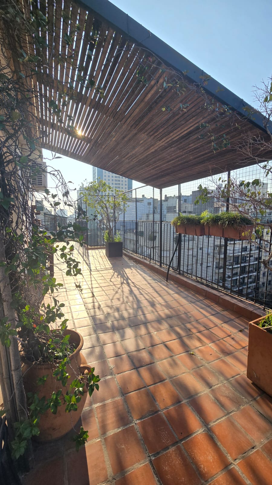 Galería