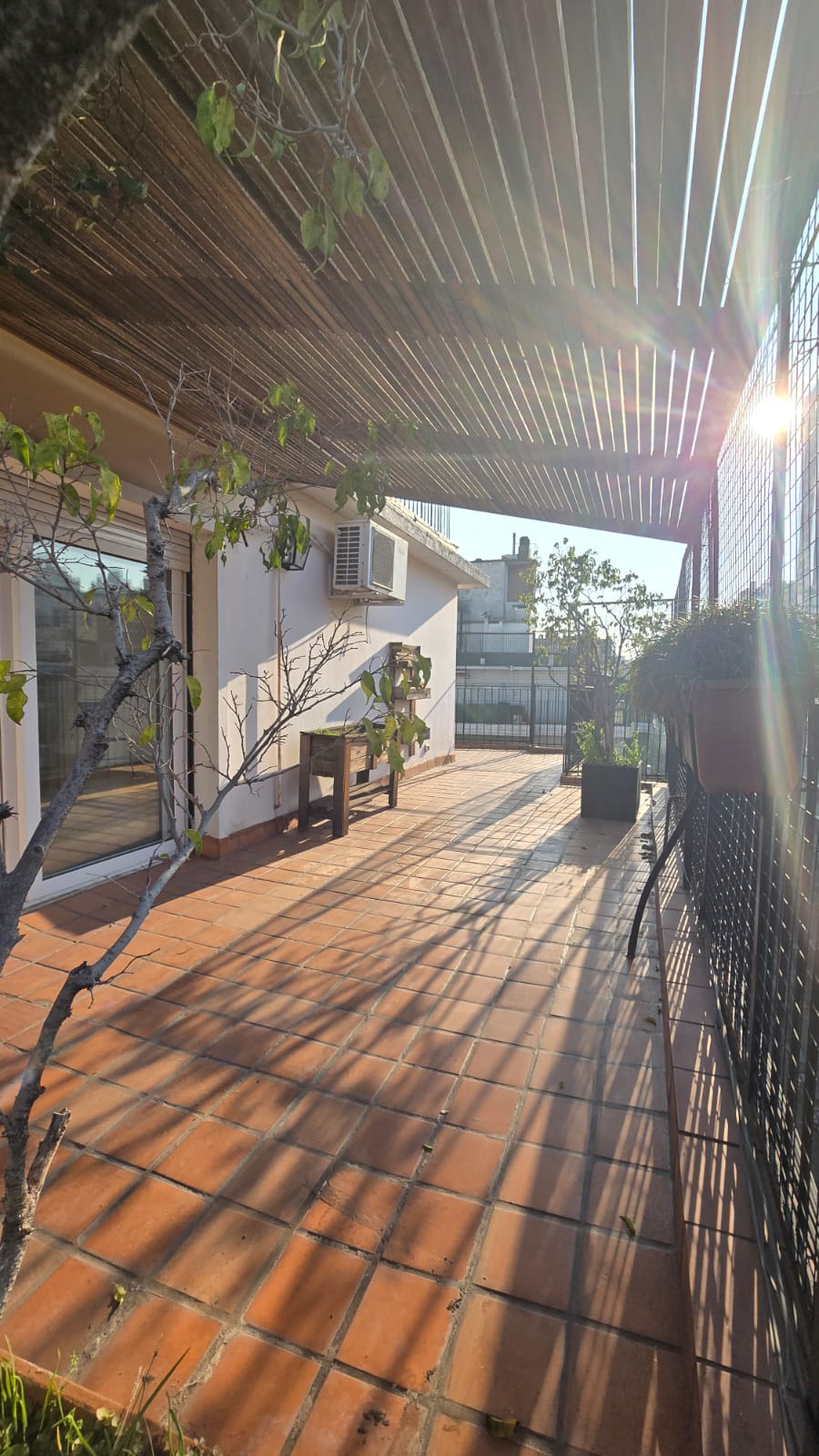 Galería
