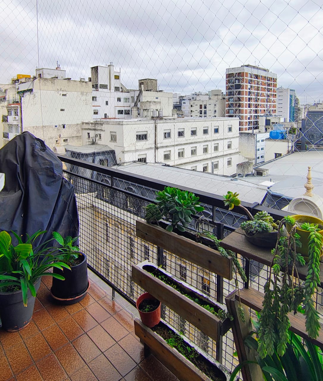 Galería